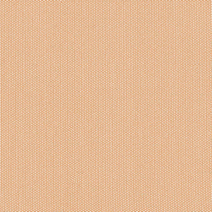 Tulip Skirt Honey Beige Mesh RTW