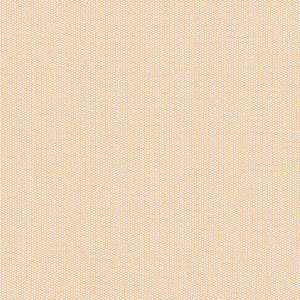 Tulip Skirt Sand Mesh RTW