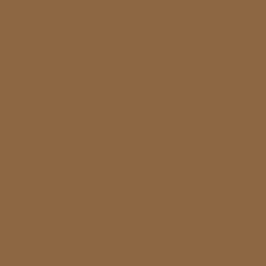 Maddie Caramel Leotard RTW