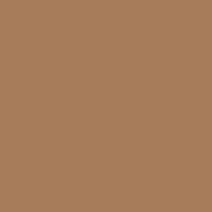 Zoe Latte Leotard RTW