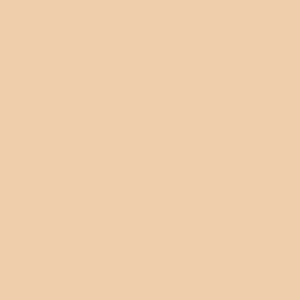 Long High-Low Skirt Sand Mesh RTW