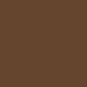 Zoe Mocha Leotard RTW