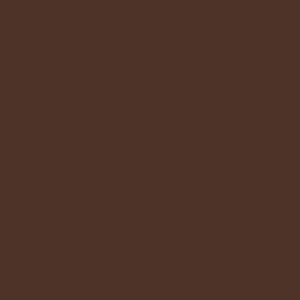 Zoe Coffee Leotard RTW