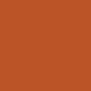 Logan Biketard Copper RTW