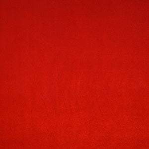 Adam Biketard Red Velvet RTW