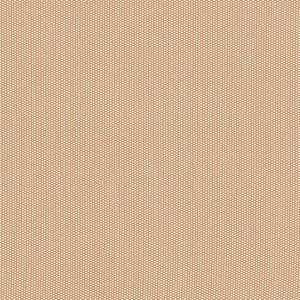 Luna Black Tan Mesh Leotard RTW