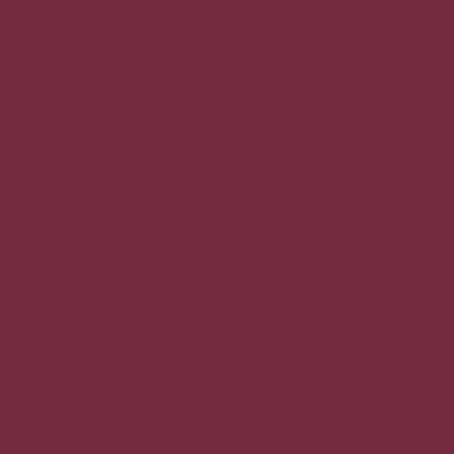 Laico Leotard Wine RTW